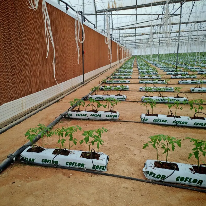 Теплица G01