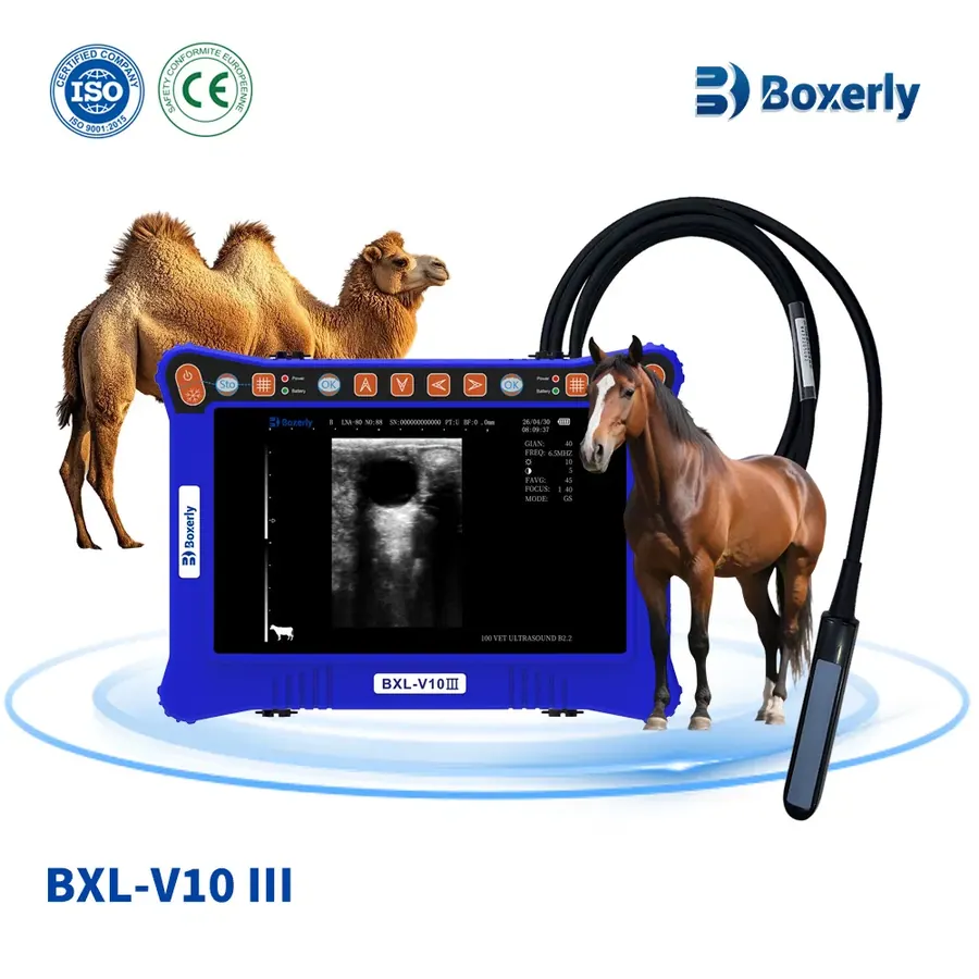 Аппарат УЗИ BXL-V10 III
