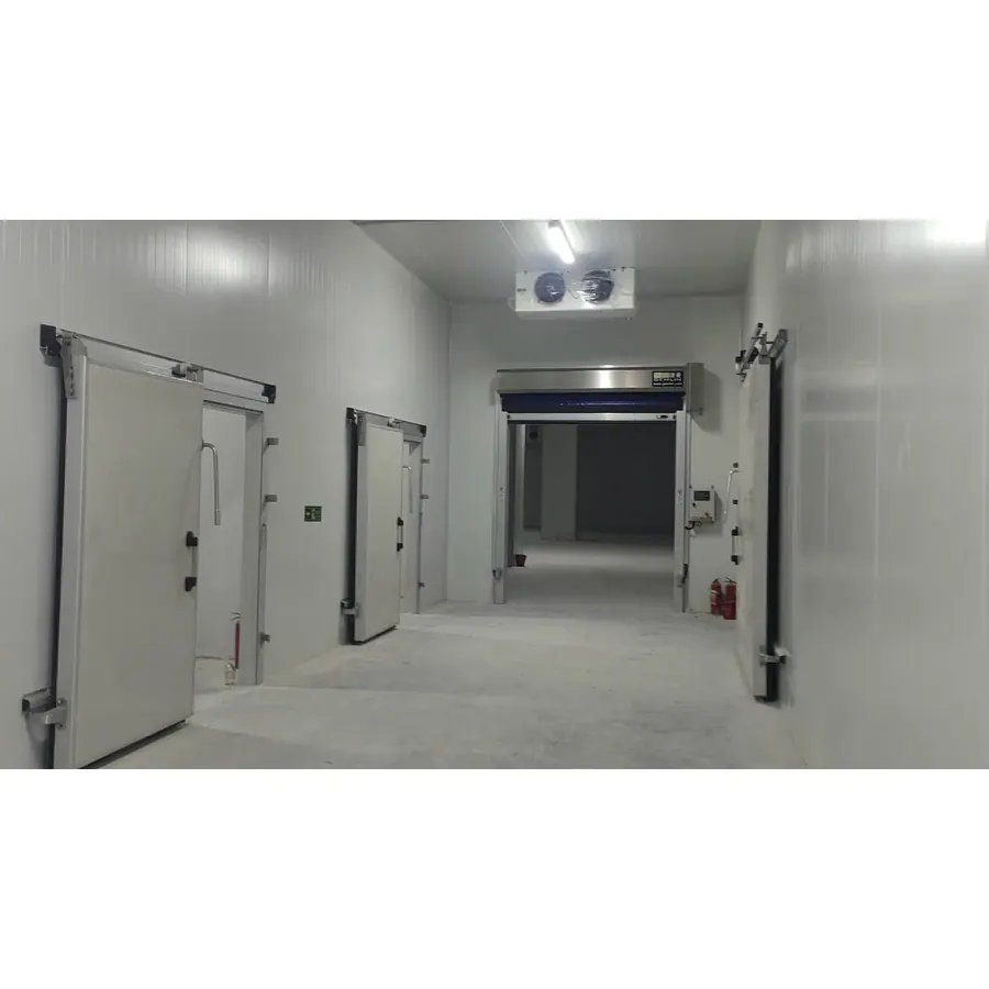 Холодильная камера (Шанхай, вариант 6)