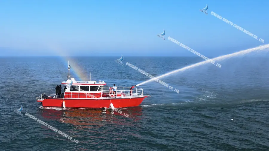 Лодка DK-FR 44