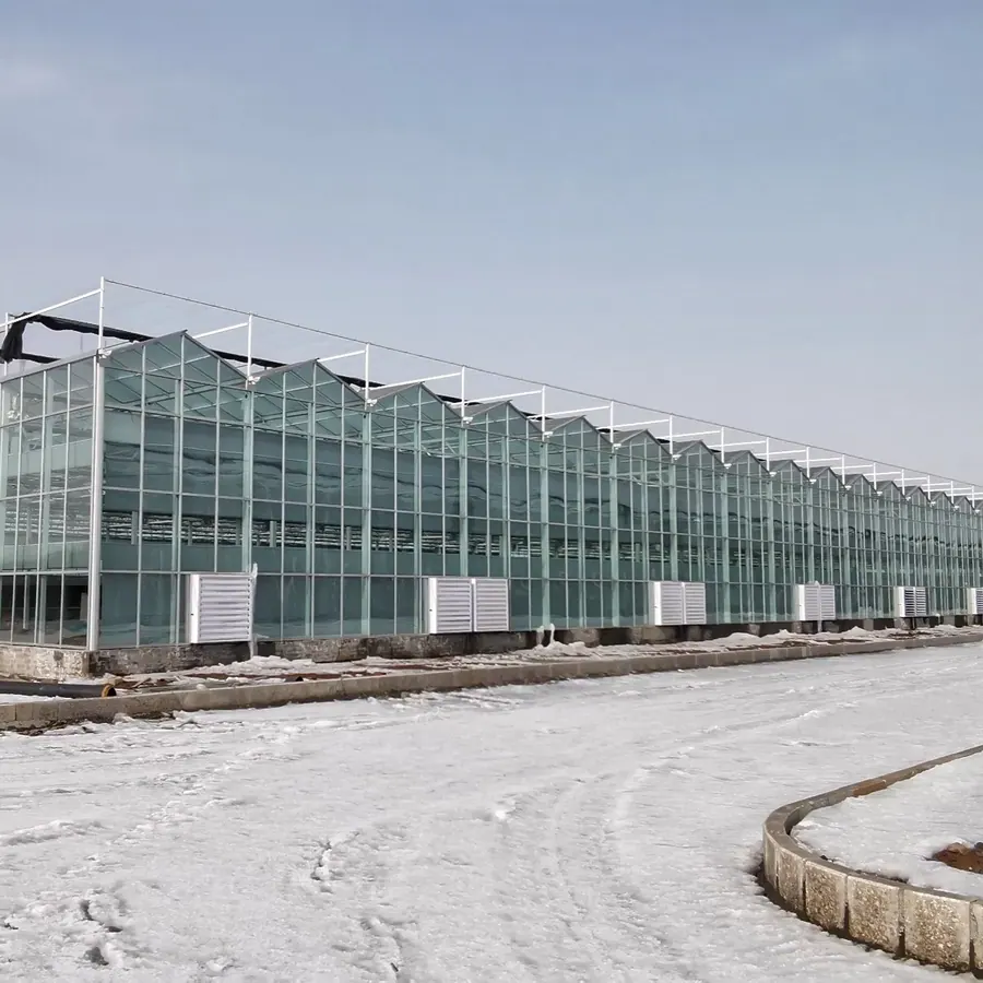 Теплица, 8 мм