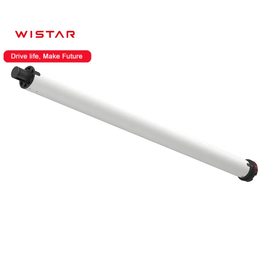 Электродвигатель WSERD60-T