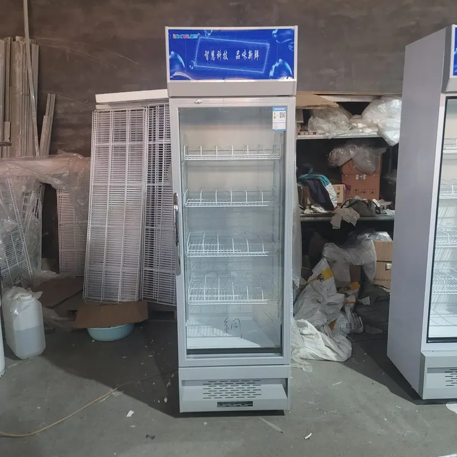 Витрина, 501 л