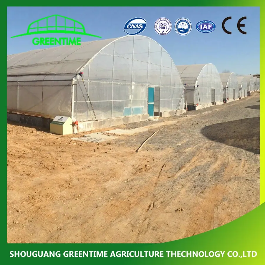 Теплица, 100 м